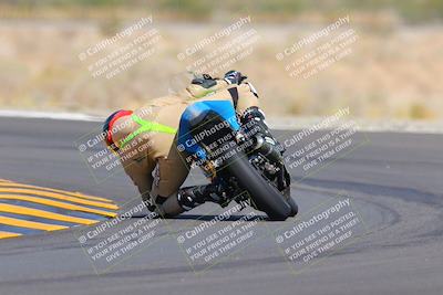 media/Oct-09-2022-SoCal Trackdays (Sun) [[95640aeeb6]]/Turn 14 Backside (1125am)/